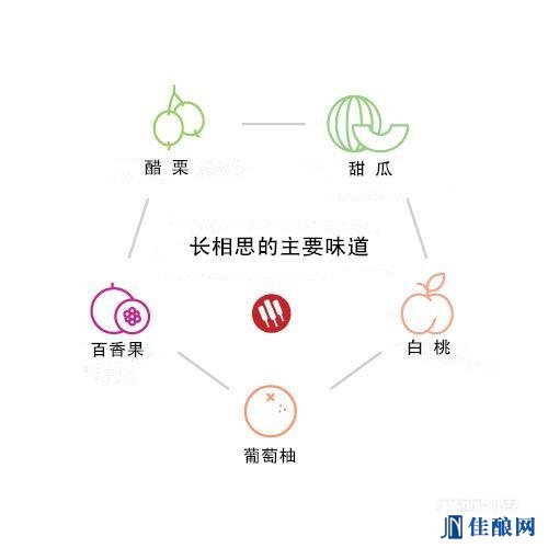 ϼVSL(zhng)˼
