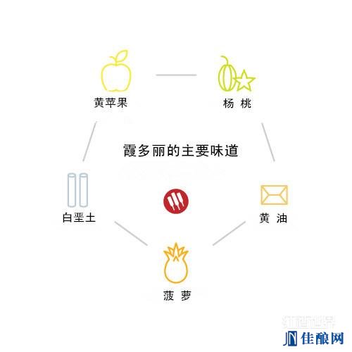 ϼVSL(zhng)˼